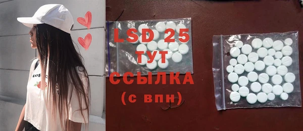 прущие грибы Армянск