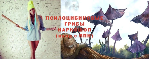 прущие грибы Армянск