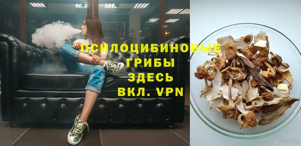 прущие грибы Армянск