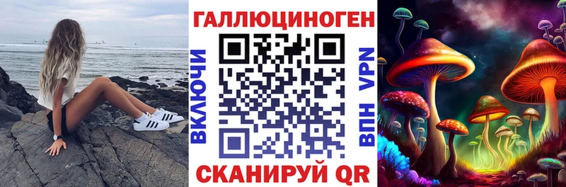 закладка  Городище  Галлюциногенные грибы MAGIC MUSHROOMS 